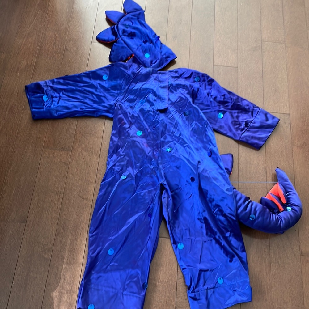 Dinosaur Costume